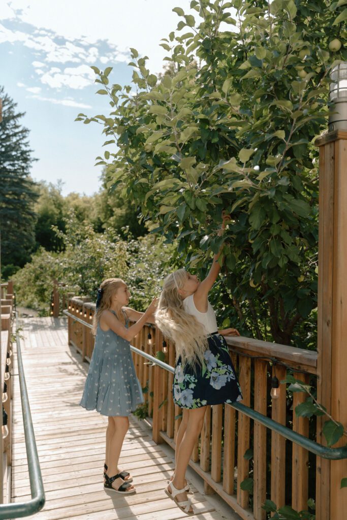 picking apples at a winnipeg wedding