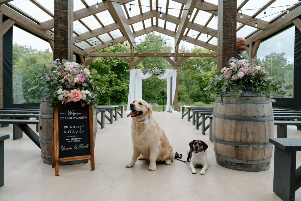 Outdoor wedding ceremony setup at Hawthorne Estates with the altar, guest chairs, and the couple’s dog in Manitoba